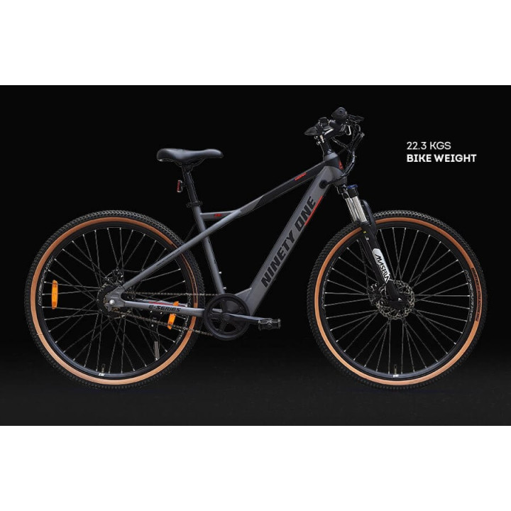 MERAKI (MATT GREY) 29" S.SPEED