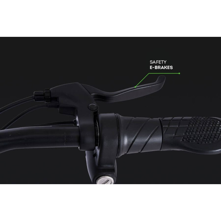 MERAKI (MATT GREY) 29" S.SPEED