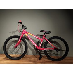 FERN 24" (PINK) S.SPEED