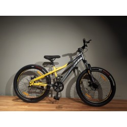 WINDRIDER 24" (GREY YELLOW)