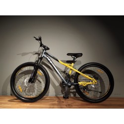 WIND RIDER 26" (GREY YELLOW)