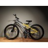 WIND RIDER 26" (GREY YELLOW)