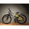 WIND RIDER 29" (GREY YELLOW)