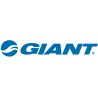 GIANT