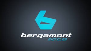 Bergamont Accessories